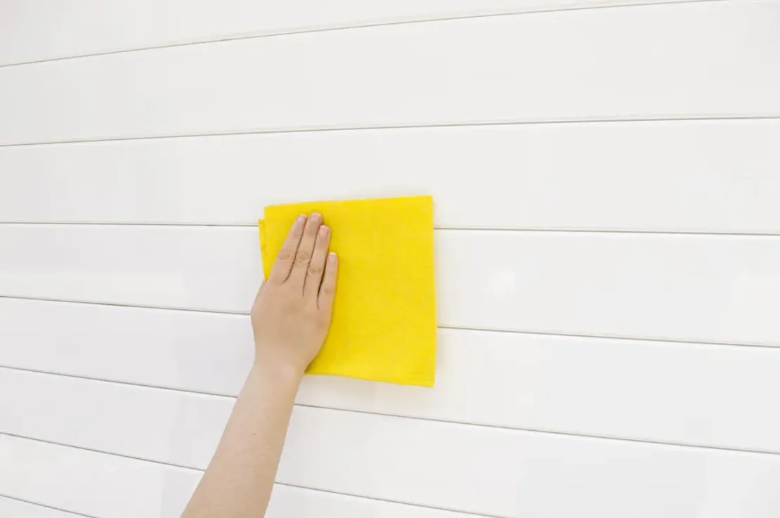 Cleaning a Garage Door