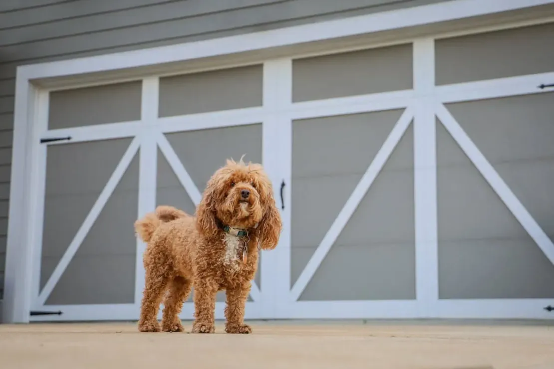 Garage door Safety
